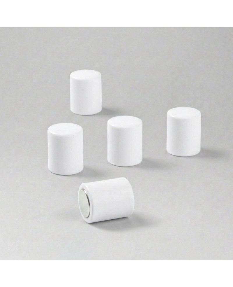 Kancelářský magnet OF-2 bílý -  1 ks