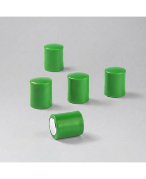 Kancelářský magnet OF-2 zelený - sada 10 ks